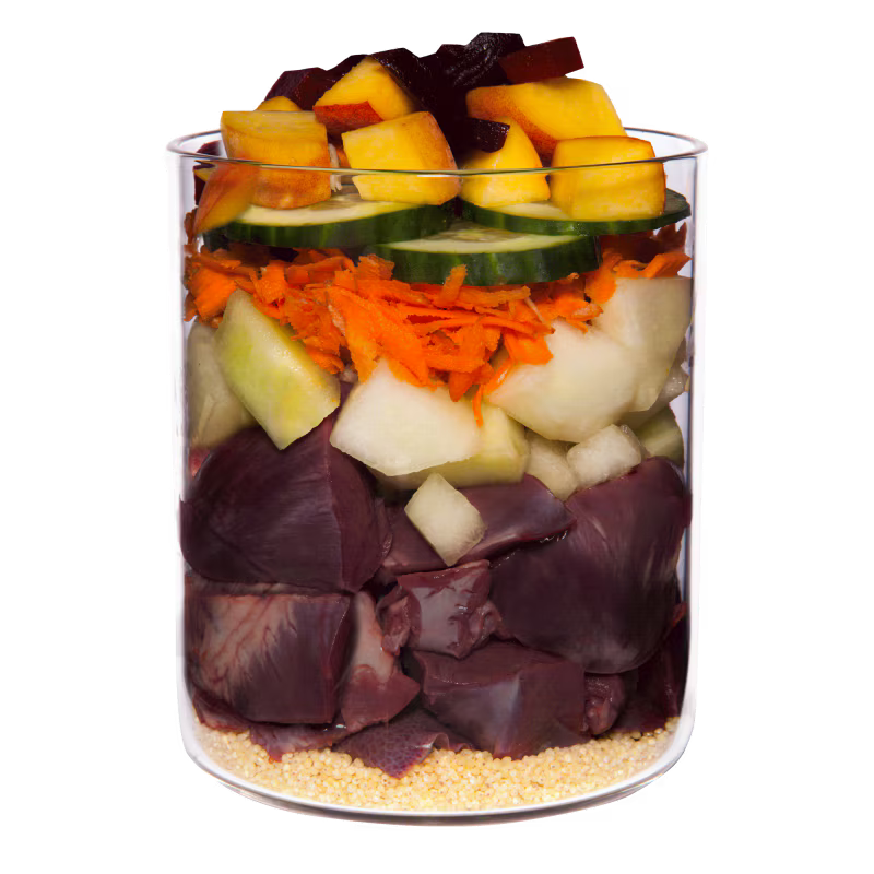 Terra Canis Menü Classic Kalb mit Hirse, Gurke, gelber Melone & Basilikum