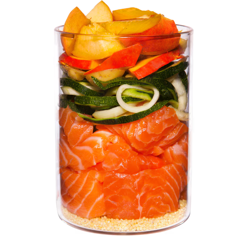 Terra Canis Menü Classic Lachs mit Hirse, Pfirsich & Kräutern