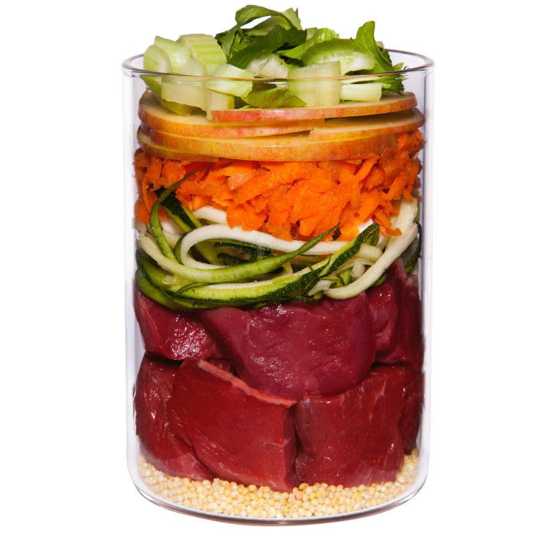 Terra Canis Menü Classic Lamm mit Zucchini, Hirse & Dill