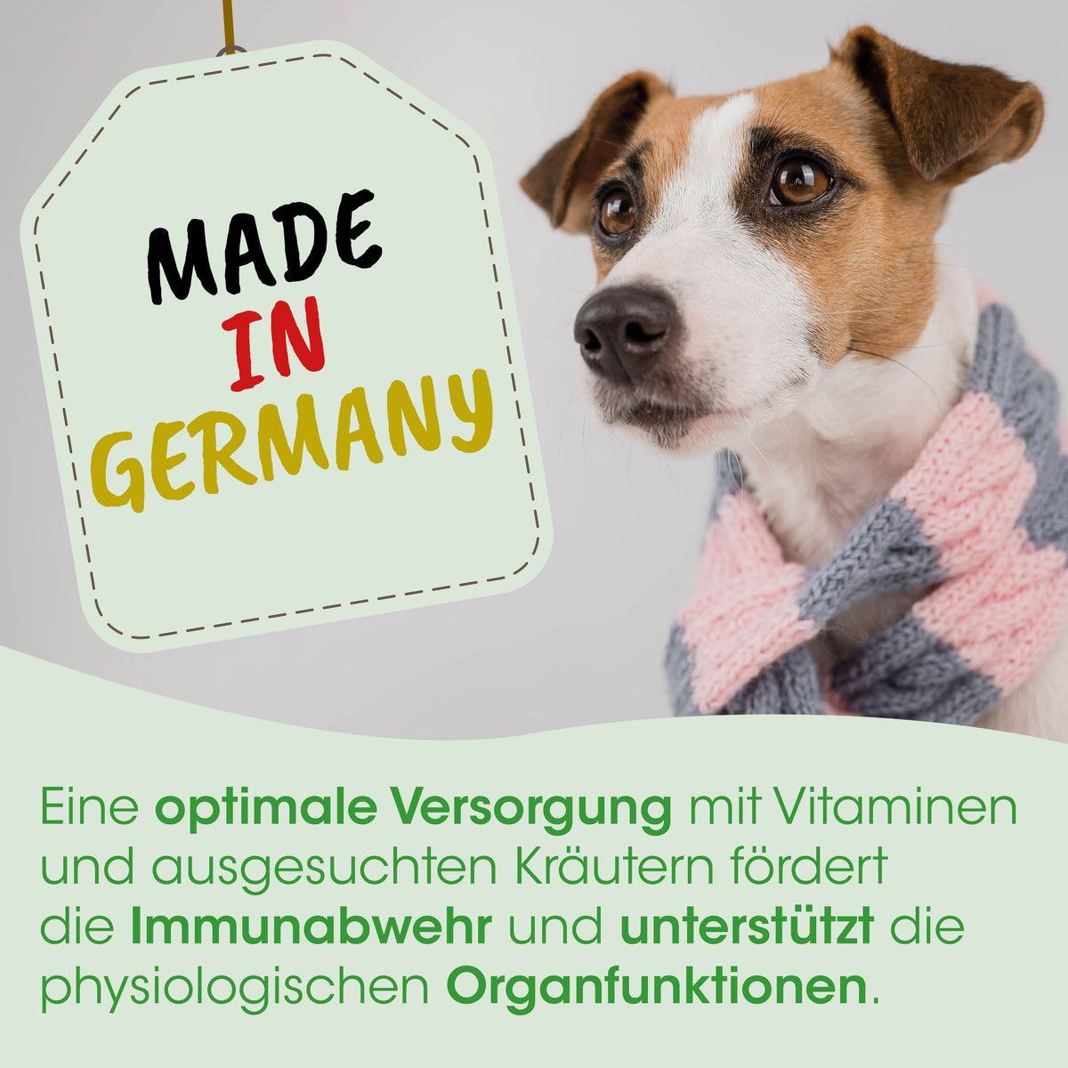 cdVet HustaVet Immun - Die-Fell-Nasen.com