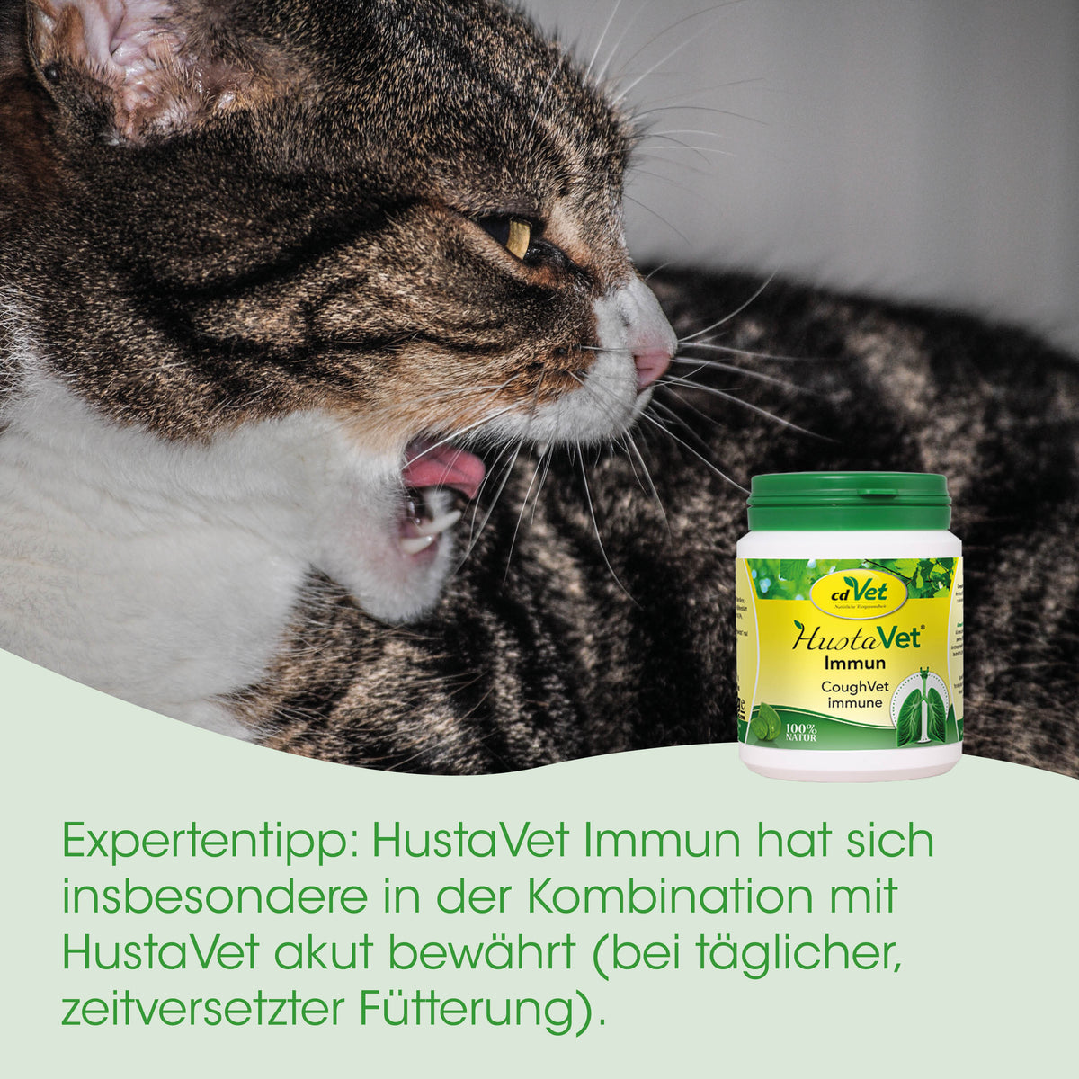 cdVet HustaVet Immun - Die-Fell-Nasen.com