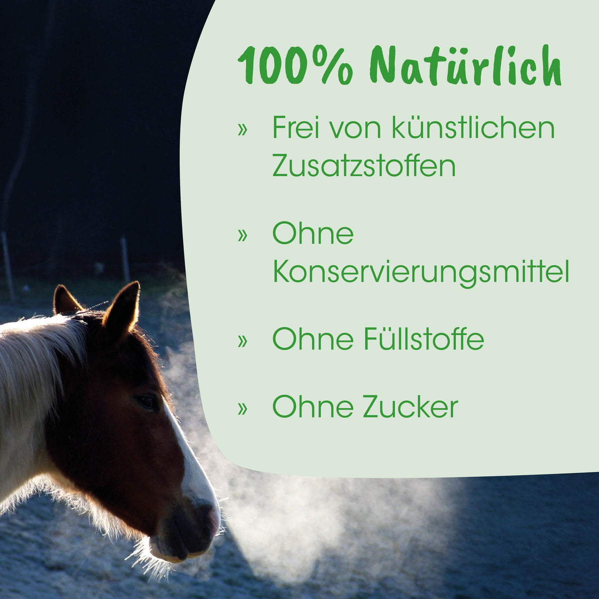 cdVet HustaVet Immun - Die-Fell-Nasen.com