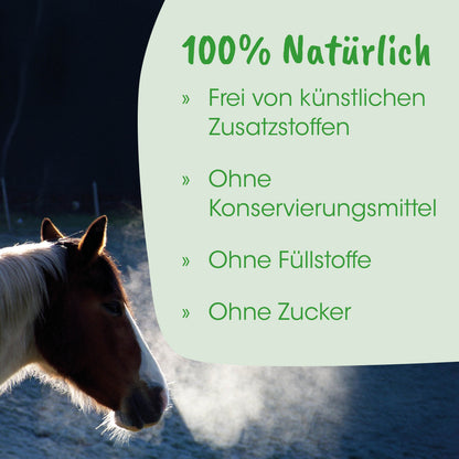 cdVet HustaVet Immun - Die-Fell-Nasen.com