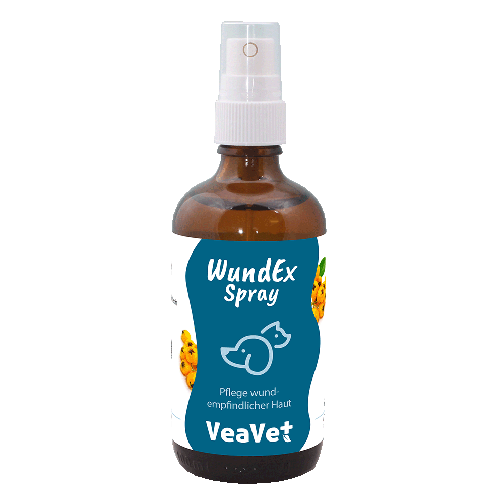 cdVet VeaVet WundEx Spray 100 ml - Die-Fell-Nasen.com