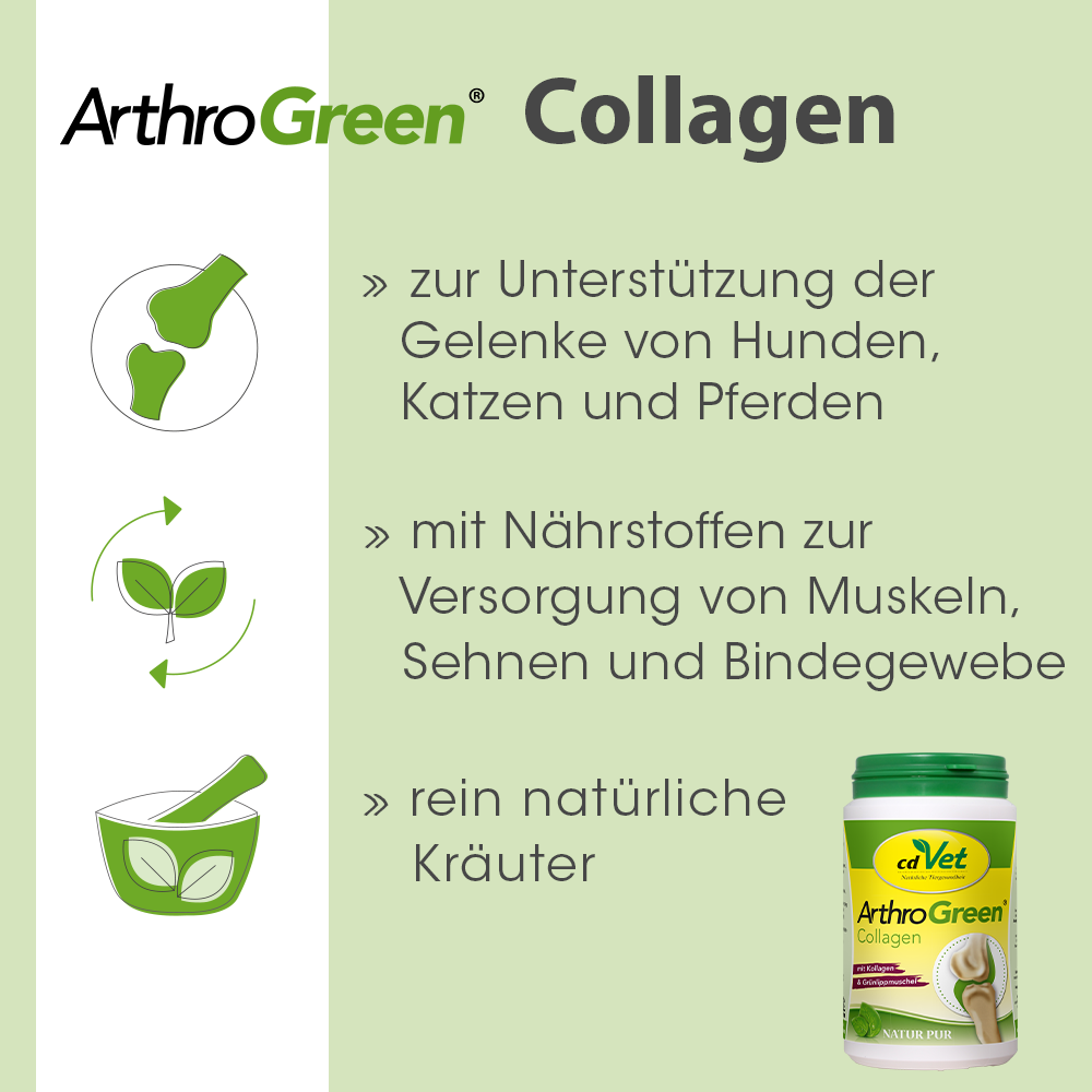 Premium ArthroGreen Collagen 300 g 