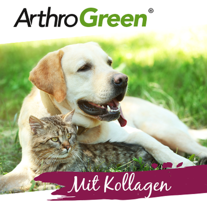 Premium ArthroGreen Collagen 2 kg 