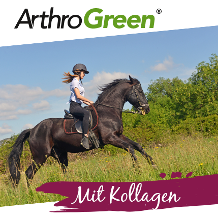 Premium ArthroGreen Collagen 600 g 