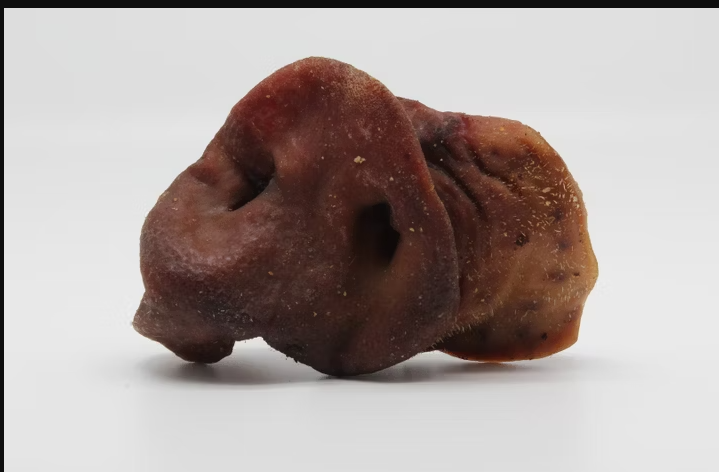 Schweine-Nasen getrocknet