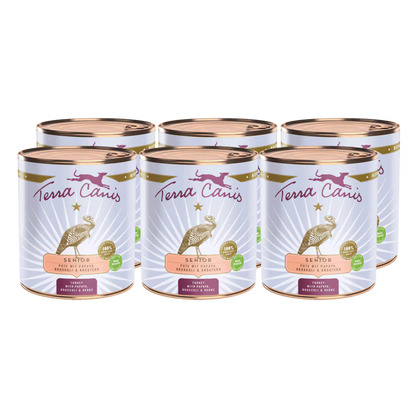 Terra Canis Menü Senior Pute mit Papayas, Borretsch & Kräutern