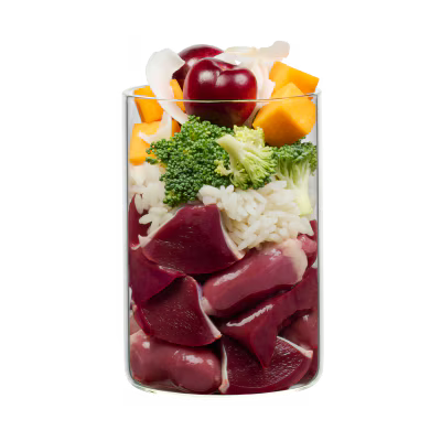 Terra Canis Menü Flower Menü Cherry Blossom / Huhn mit Reis, Sesam und feinem Kirschpüree