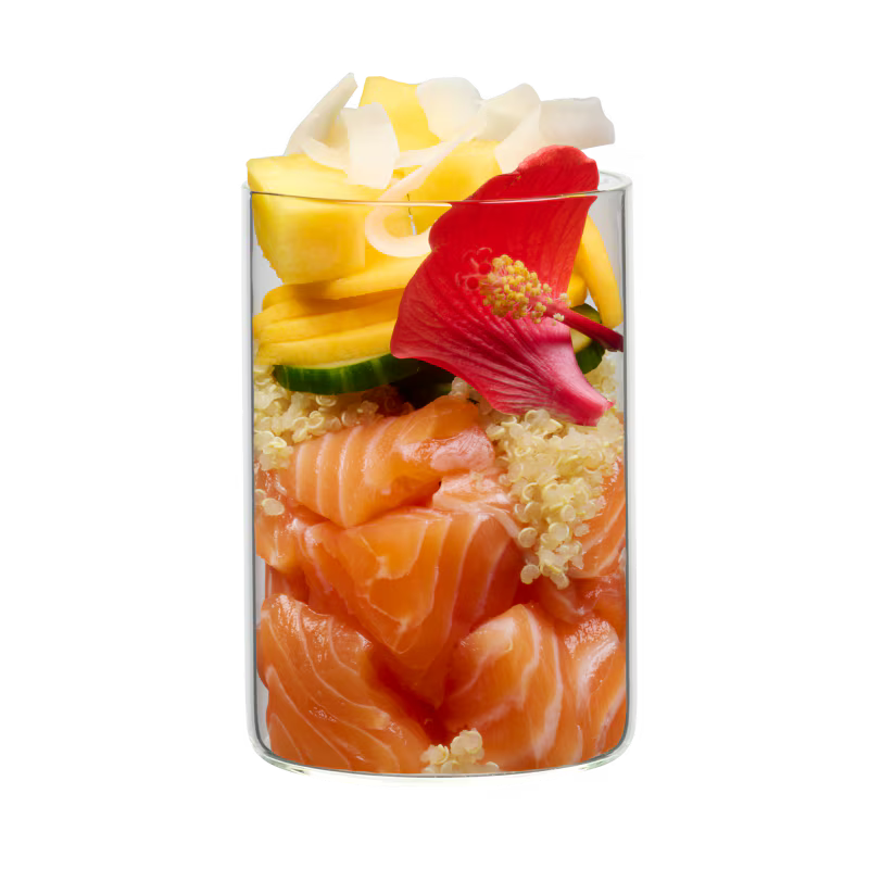 Terra Canis Menü Flower Menü Waikiki Woof / Lachs mit Quinoa, Mango und Hibiskus