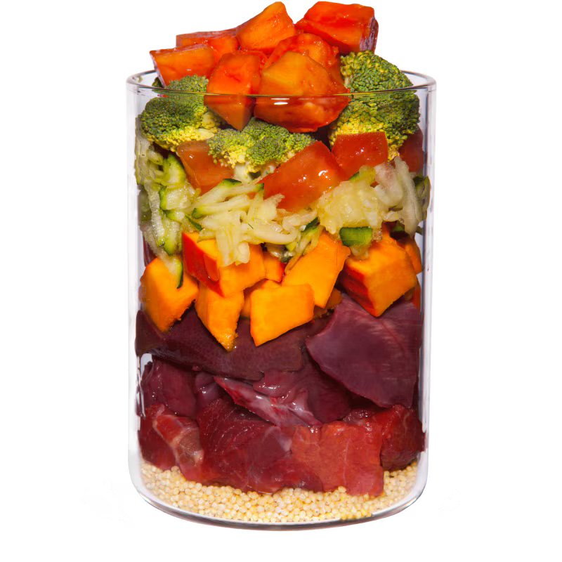 Terra Canis Menü Classic Büffel mit Hirse, Tomaten & Papaya