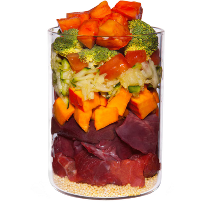 Terra Canis Menü Classic Büffel mit Hirse, Tomaten & Papaya