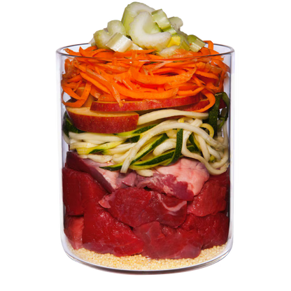Terra Canis Menü Classic Lamm mit Zucchini, Hirse & Dill