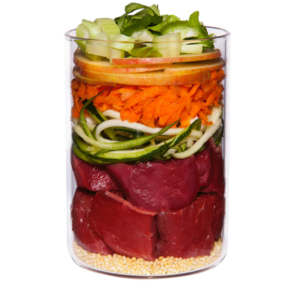 Terra Canis Menü Classic Lamm mit Zucchini, Hirse & Dill