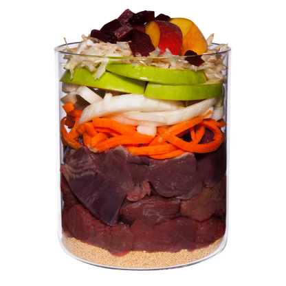 Terra Canis Menü Classic Pferd mit Amaranth, Pfirsich & Roter Beete