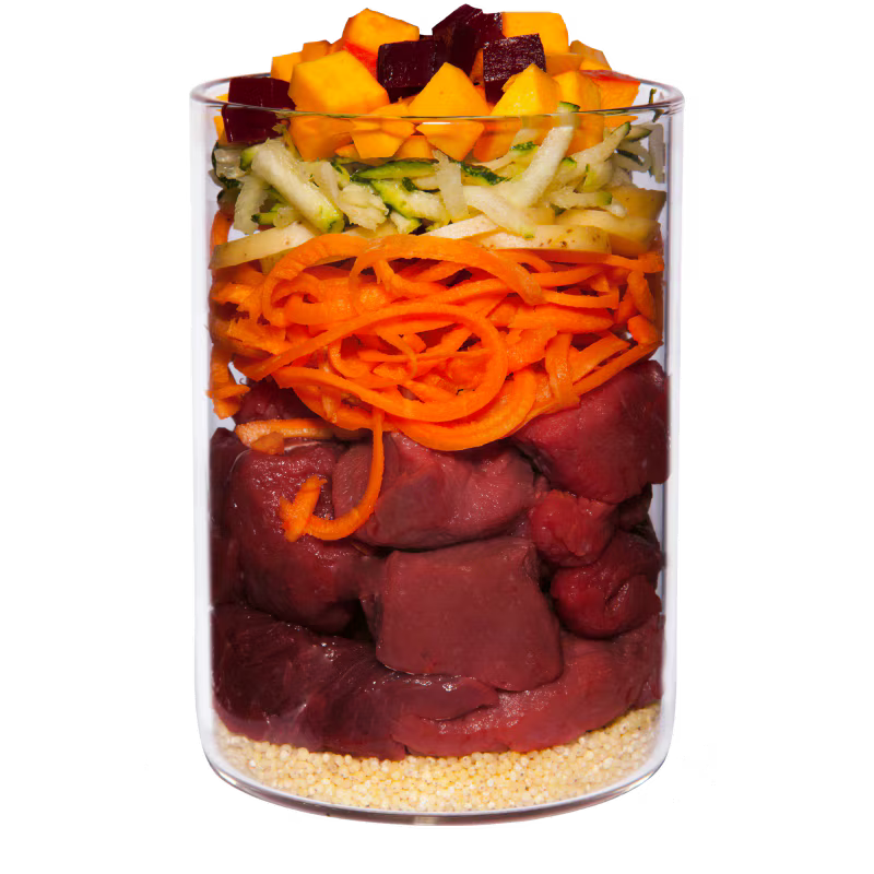 Terra Canis Menü Classic Wild mit Kürbis, Amaranth & Preiselbeeren