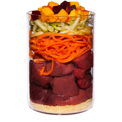 Terra Canis Menü Classic Wild mit Kürbis, Amaranth & Preiselbeeren