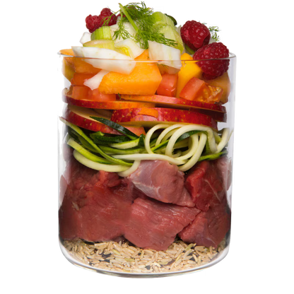 Terra Canis Menü Classic Wildschwein mit Naturreis, Fenchel & Himbeeren