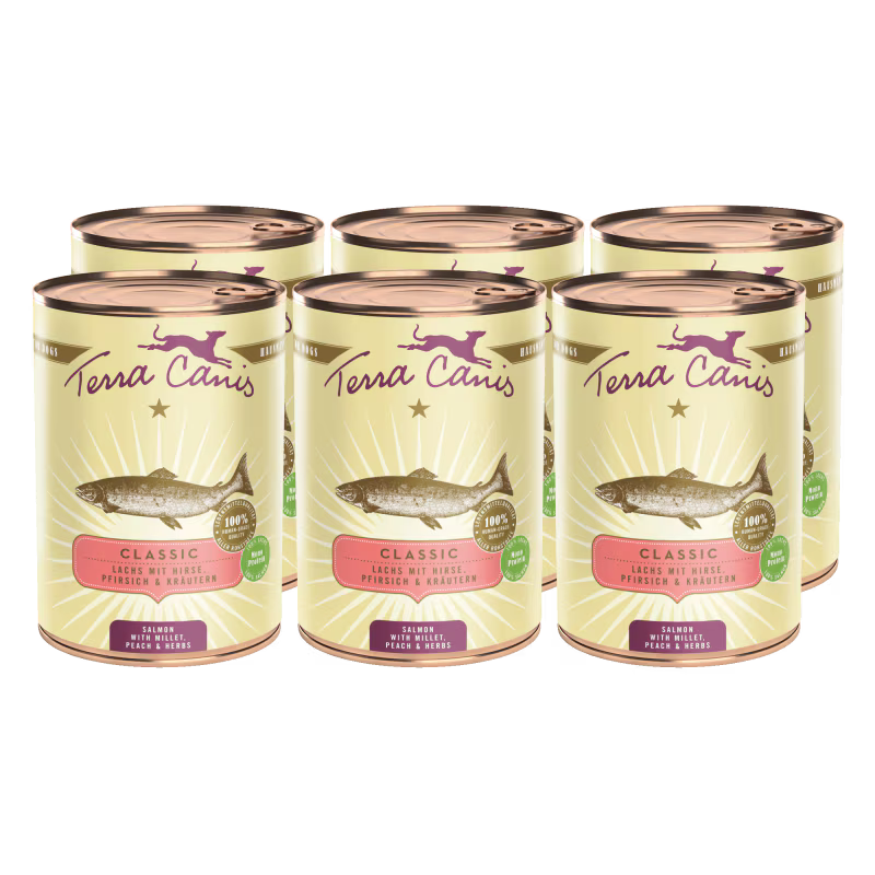 Terra Canis Menü Classic Lachs mit Hirse, Pfirsich & Kräutern