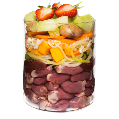 Terra Canis Menü  -Getreidefrei- Ente mit Kürbis, Erdbeeren und Holunder