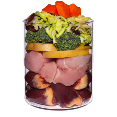 Terra Canis Menü Senior Pute mit Papayas, Borretsch & Kräutern