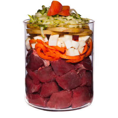Terra Canis Menü Senior Rind mit Sellerie, Aprikose & Kräutern