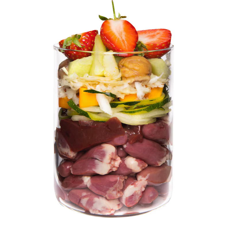 Terra Canis Menü  -Getreidefrei- Ente mit Kürbis, Erdbeeren und Holunder