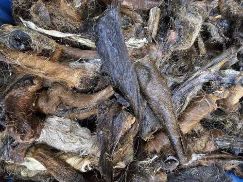 Pferde-Haut mit Fell getrocknet - Die-Fell-Nasen.com