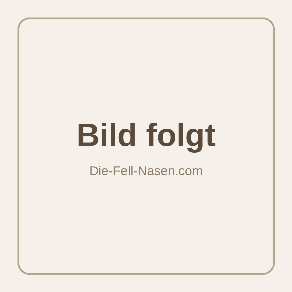 Pferde-Lunge getrocknet – Bild folgt