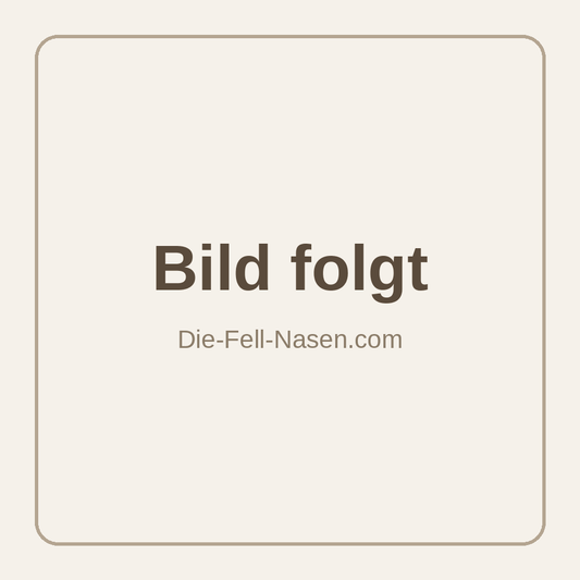 Pferde-Lunge getrocknet – Bild folgt