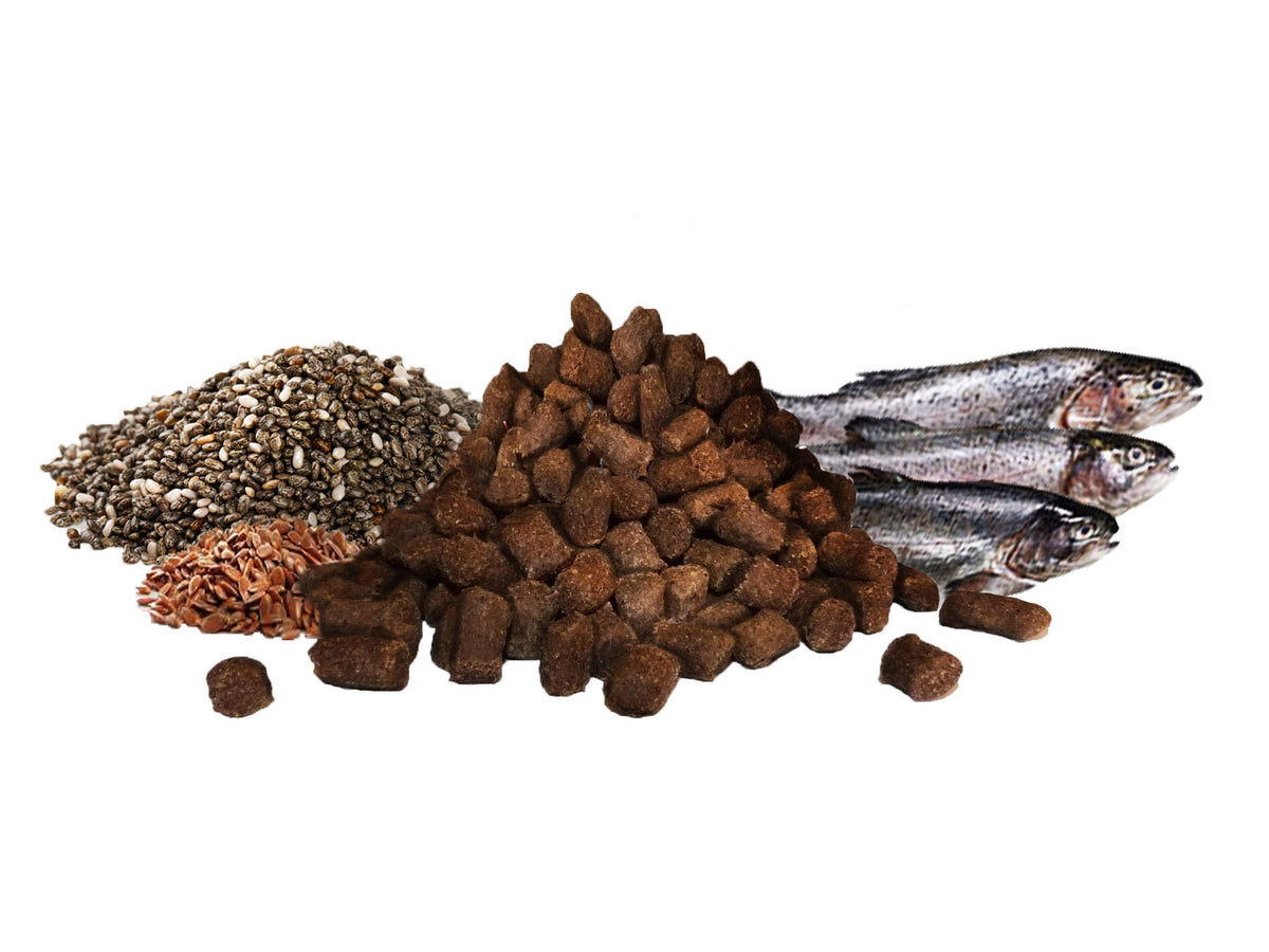 Trainee's GF Fisch mit Ölsaaten - Die-Fell-Nasen.com